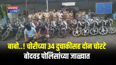Bike thieves jpg webp