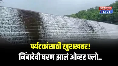 Nimbadevi Dam jpg webp