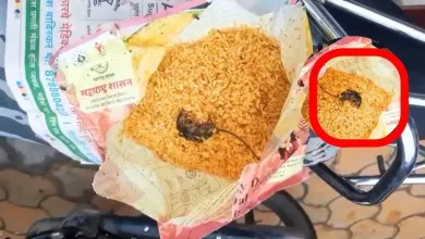 संतापजनक! जळगावात पोषण आहाराच्या पाकिटात आढळलं मेलेलं उंदराचं पिल्लू 5 poshan ahaar jpg webp