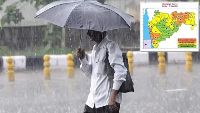 महाराष्ट्रातील अनेक जिल्ह्यांना पावसाचा अलर्ट जारी; जळगावात काय आहे स्थिती? 3 rain21july jpg webp