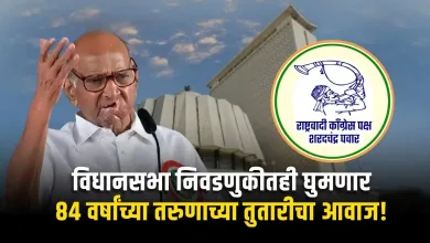 विधानसभा निवडणुकीतही घुमणार ८४ वर्षांच्या तरुणाच्या तुतारीचा आवाज! 3 sharad-pawar-ncp-rashtrawadi