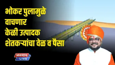 Bhokar bridge jpg webp