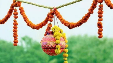 dahihandi