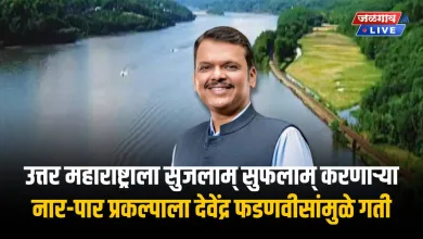 उत्तर महाराष्ट्राला सुजलाम् सुफलाम् करणाऱ्या नार – पार प्रकल्पाला देवेंद्र फडणवीसांमुळे गती 4 devendra-fadnavis-nar-par