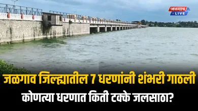 जळगावकरांसाठी आनंदवार्ता! वाघूरसह जिल्ह्यातील 7 धरणांनी शंभरी गाठली, कोणत्या धरणात किती जलसाठा? 4 JLDam