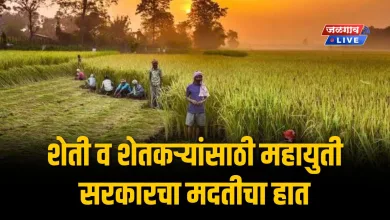 शेती व शेतकऱ्यांसाठी महायुती सरकारचा मदतीचा हात; असा होतोय शेतकऱ्यांना फायदा 2 farmermahayuti