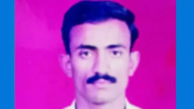 parola farmer