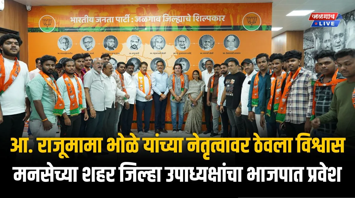 MNS MNS