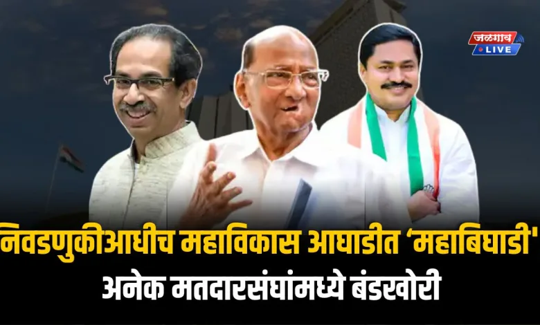 निवडणुकीआधीच महाविकास आघाडीत ‘महाबिघाडी'; अनेक मतदारसंघांमध्ये बंडखोरी 1 Mahavikas Aghadi
