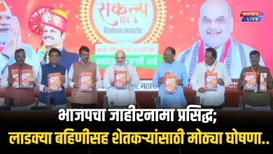 भाजपचा जाहीरनामा प्रसिद्ध; लाडक्या बहिणीसह शेतकऱ्यांसाठी मोठ्या घोषणा.. 6 BJP Jahirnama