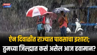ऐन दिवाळीत राज्यात पावसाचा इशारा; तुमच्या जिल्ह्यात कसं असेल आज हवामान? 5 RainT