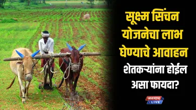 farmer