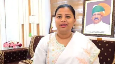 hina gavit
