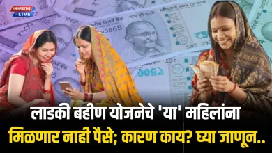 लाडकी बहीण योजनेचे 'या' महिलांना मिळणार नाही पैसे; कारण काय? घ्या जाणून.. 6 ladki bahin 2