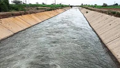 rabbi pani water