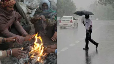 आज महाराष्ट्रातील आठ जिल्ह्यांना पावसाचा इशारा; जळगावात कसं असेल हवामान? 5 thandi rain