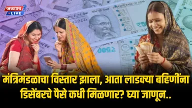 मंत्रिमंडळाचा विस्तार झाला, आता लाडक्या बहिणींना डिसेंबरचे पैसे कधी मिळणार? घ्या जाणून.. 4 Cochin Shipyard Limited 1