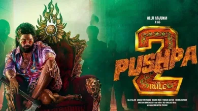 Pushpa 2 OTT Release : 'पुष्पा 2'च्या OTT रिलीज डेटबाबत सर्वात मोठी अपडेट समोर 6 Pushpa 2 Ott