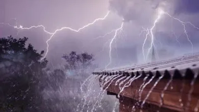 Rain