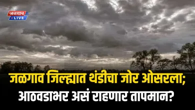 ढगाळ वातावरणामुळे जळगाव जिल्ह्यात थंडीचा जोर ओसरला; आठवडाभर असं राहणार तापमान? 6 tapman