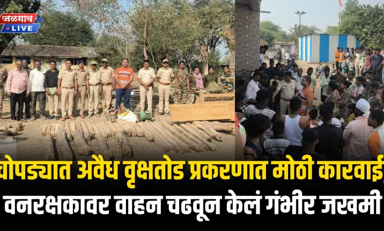 चोपड्यात अवैध वृक्षतोड प्रकरणात मोठी कारवाई; वनरक्षकावर वाहन चढवून केलं गंभीर जखमी 1 CP avaidh lakud