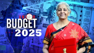 Budget 2025 : सर्वसामान्य माणसाला दिलासा, या वस्तू झाल्या स्वस्त.. 7 budget (2)