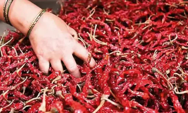 गृहिणींना सुखद धक्का ! लाल मिरचीच्या किमतीत मोठी घसरण 1 red chilli mirchi