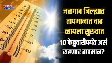 Jalgaon Weather : जळगाव जिल्ह्यात तापमानात वाढ व्हायला सुरुवात ; 10 फेब्रुवारीपर्यंत असं राहणार तापमान? 7 weatherjl