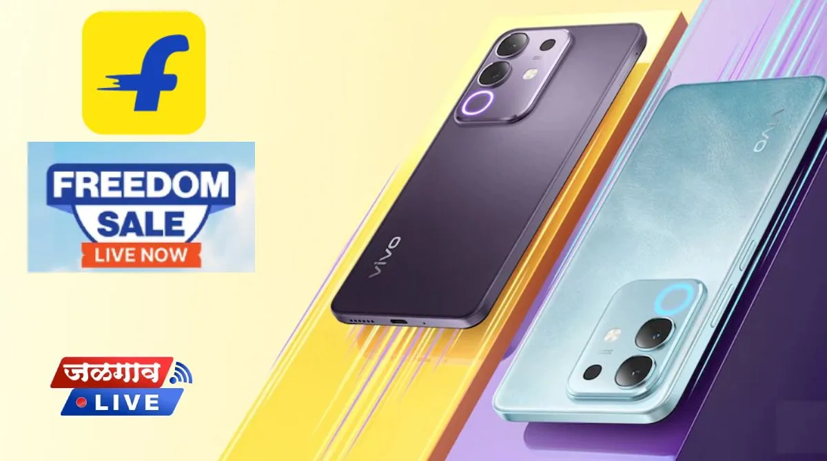 Flipkart sale