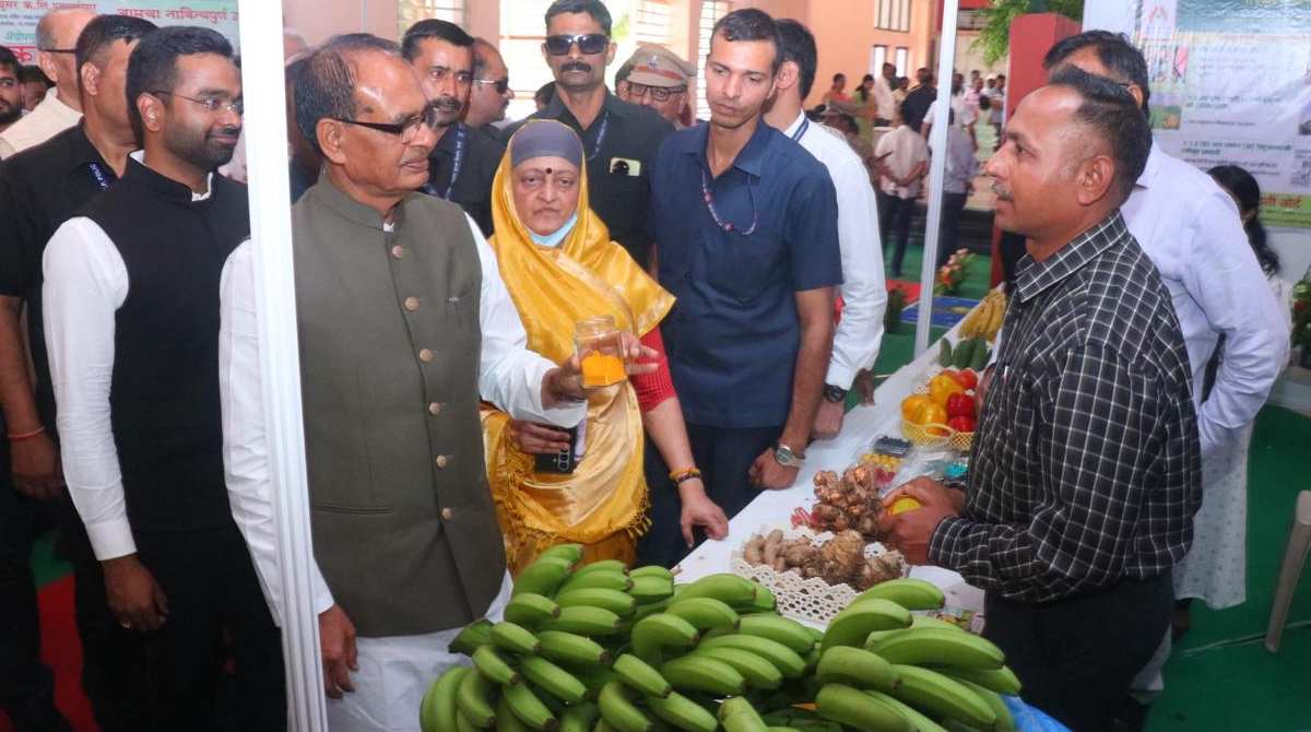 krushimantri banana
