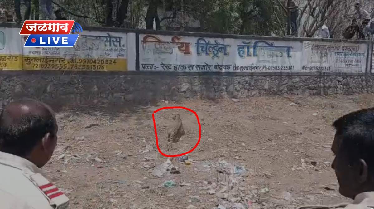 Homepage 8 bibtya muktaingar