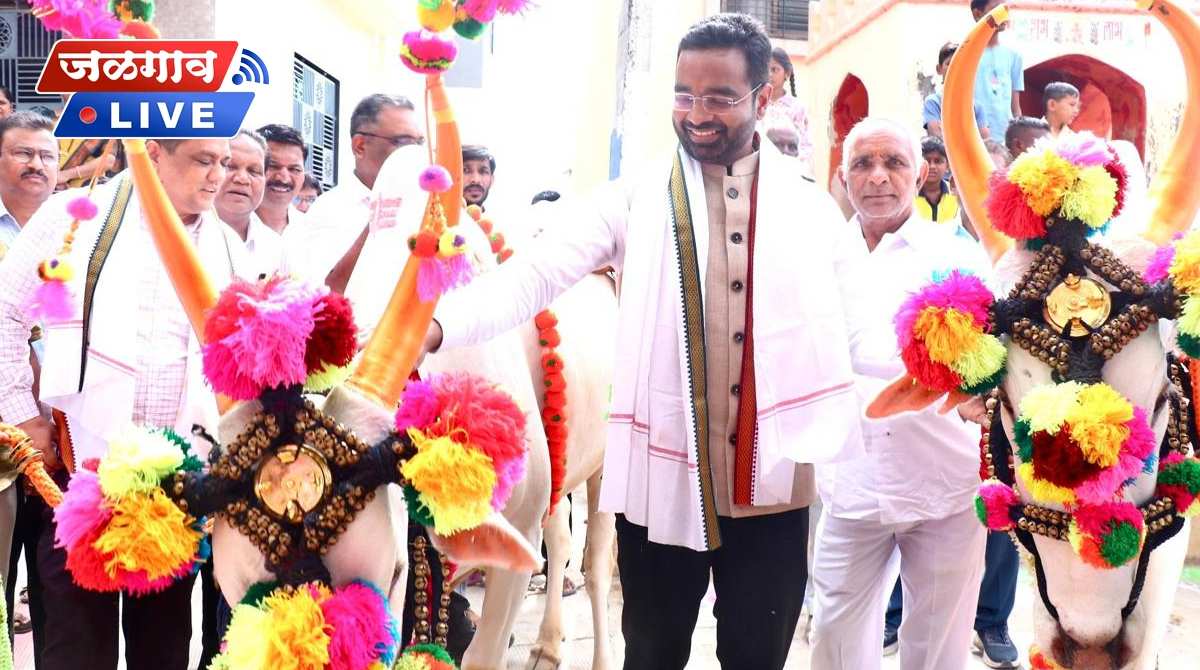 pola rohanghuge