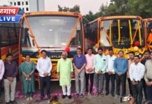 rajmatajijaubus