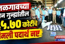 जळगावच्या दोन गुन्ह्यांतील ६५.७० कोटींचे अंमली पदार्थ नष्ट 13 Narcotics seized