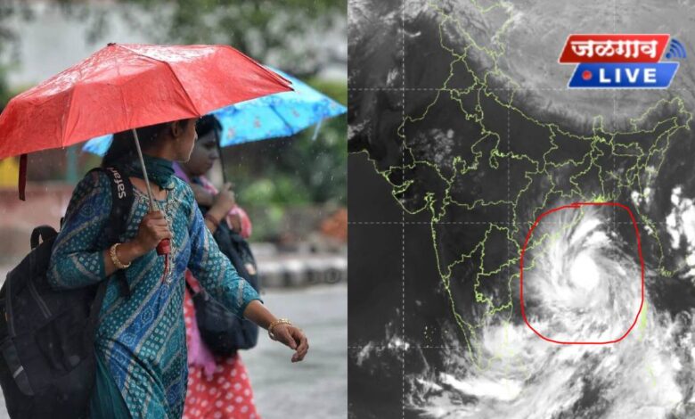 अर्णव चक्रीवादळाचा महाराष्ट्राला धोका? विदर्भात अलर्ट; जळगाववर काय परिणाम होणार? 1 arnavchakrivadal