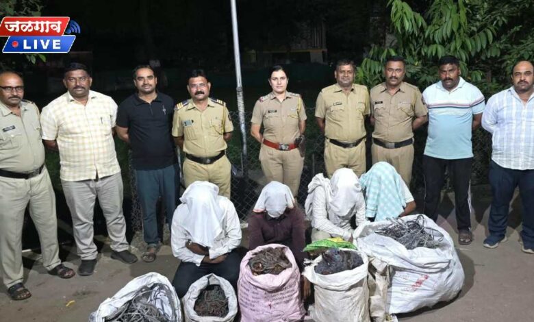 भंगार दुकानांवर पोलिसांची धाड! 75 हजारांचा कॉपर-अॅल्युमिनियम तारसाठा जप्त 1 coperjapt