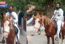घोड्यावर स्वारी, गळ्यात भोपळ्याची माळ; जळगावात शेतकऱ्यांसाठी रासपच्या नेत्याचे अनोखे आंदोलन 12 dr prabhakar savle