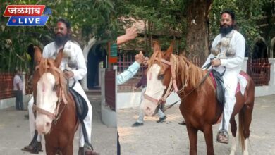 घोड्यावर स्वारी, गळ्यात भोपळ्याची माळ; जळगावात शेतकऱ्यांसाठी रासपच्या नेत्याचे अनोखे आंदोलन 6 dr prabhakar savle